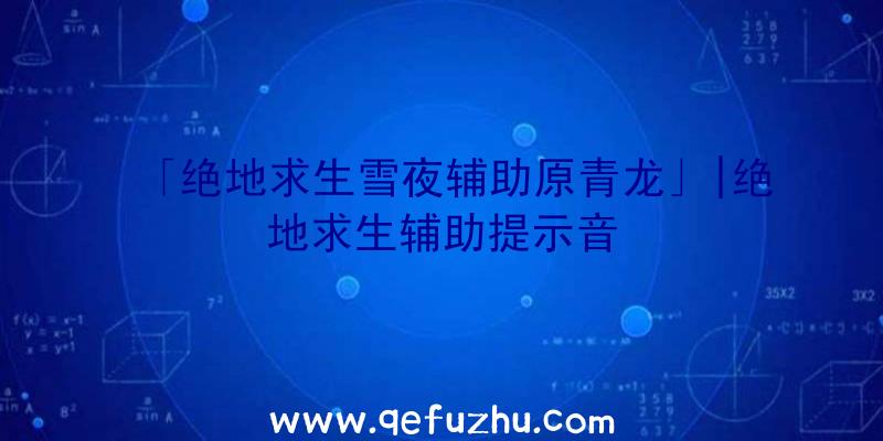 「绝地求生雪夜辅助原青龙」|绝地求生辅助提示音